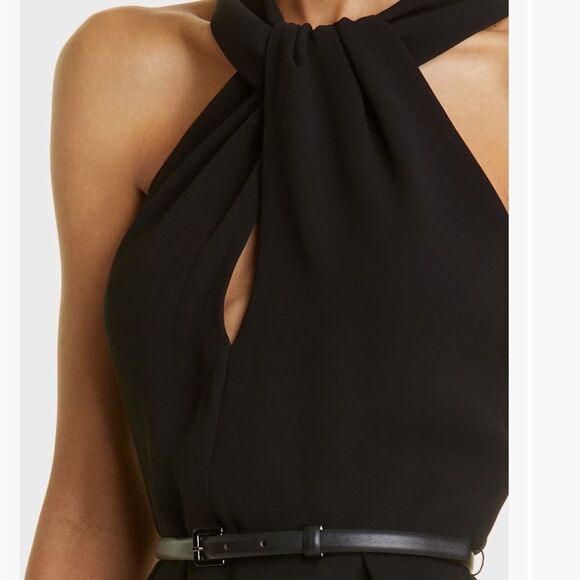 Max Mara Luna Grecian Neck Cady Dress Size 6 NWT $995 - Picture 9 of 11